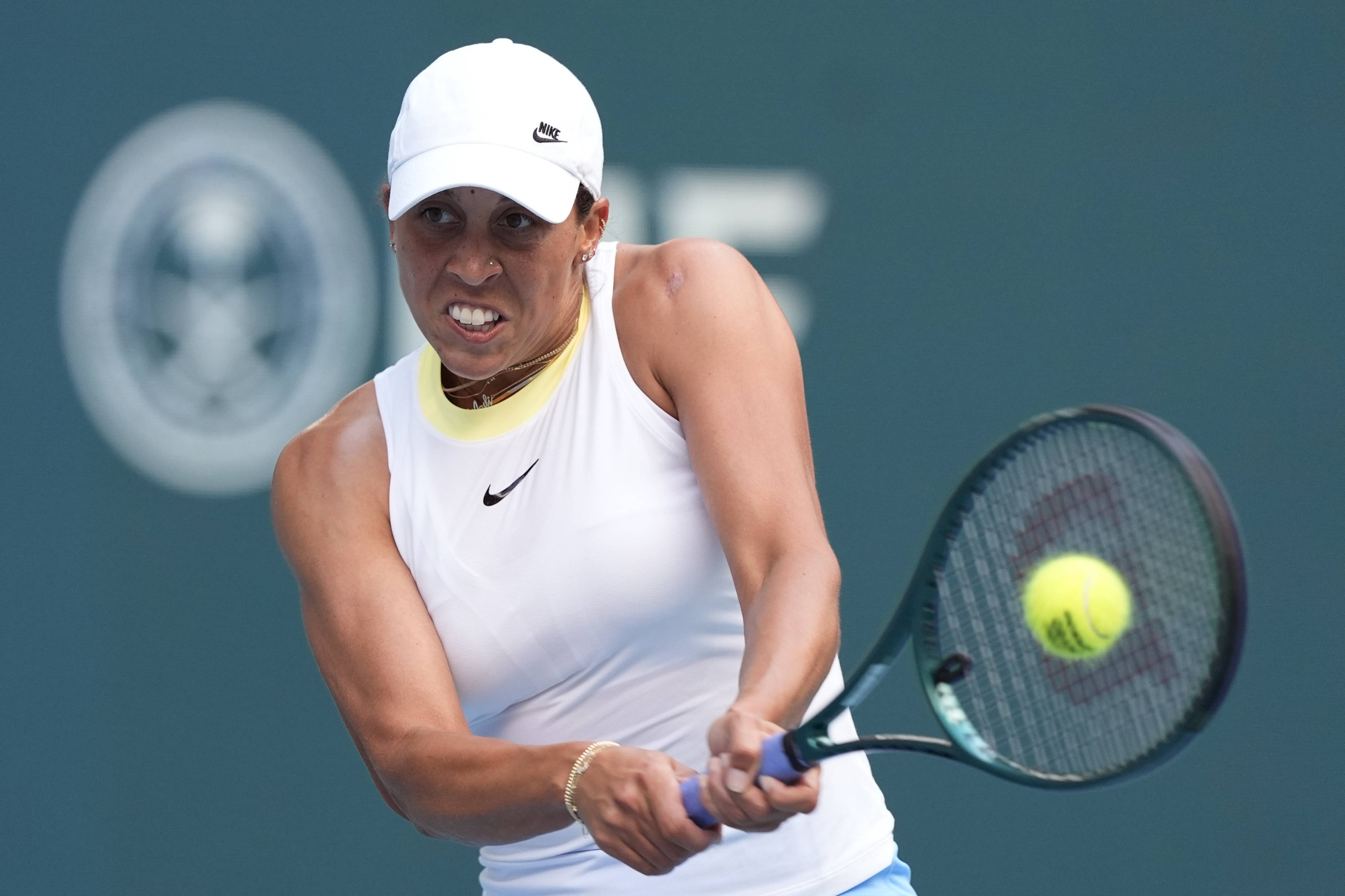 韧与智慧 韧与智慧