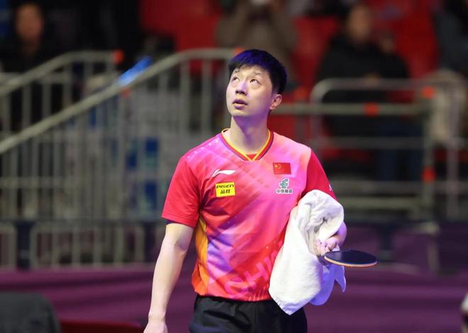 八强组合正 八强组合正