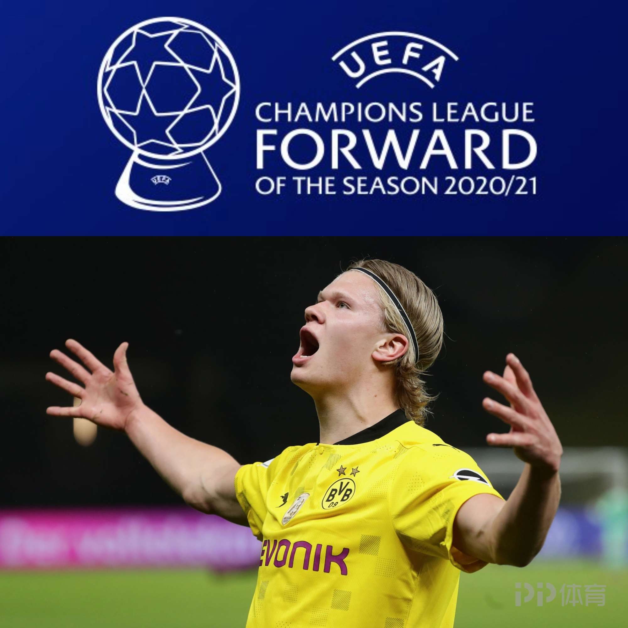 与团队节奏 与团队节奏