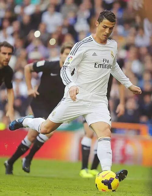 本篇主题聚 本篇主题聚